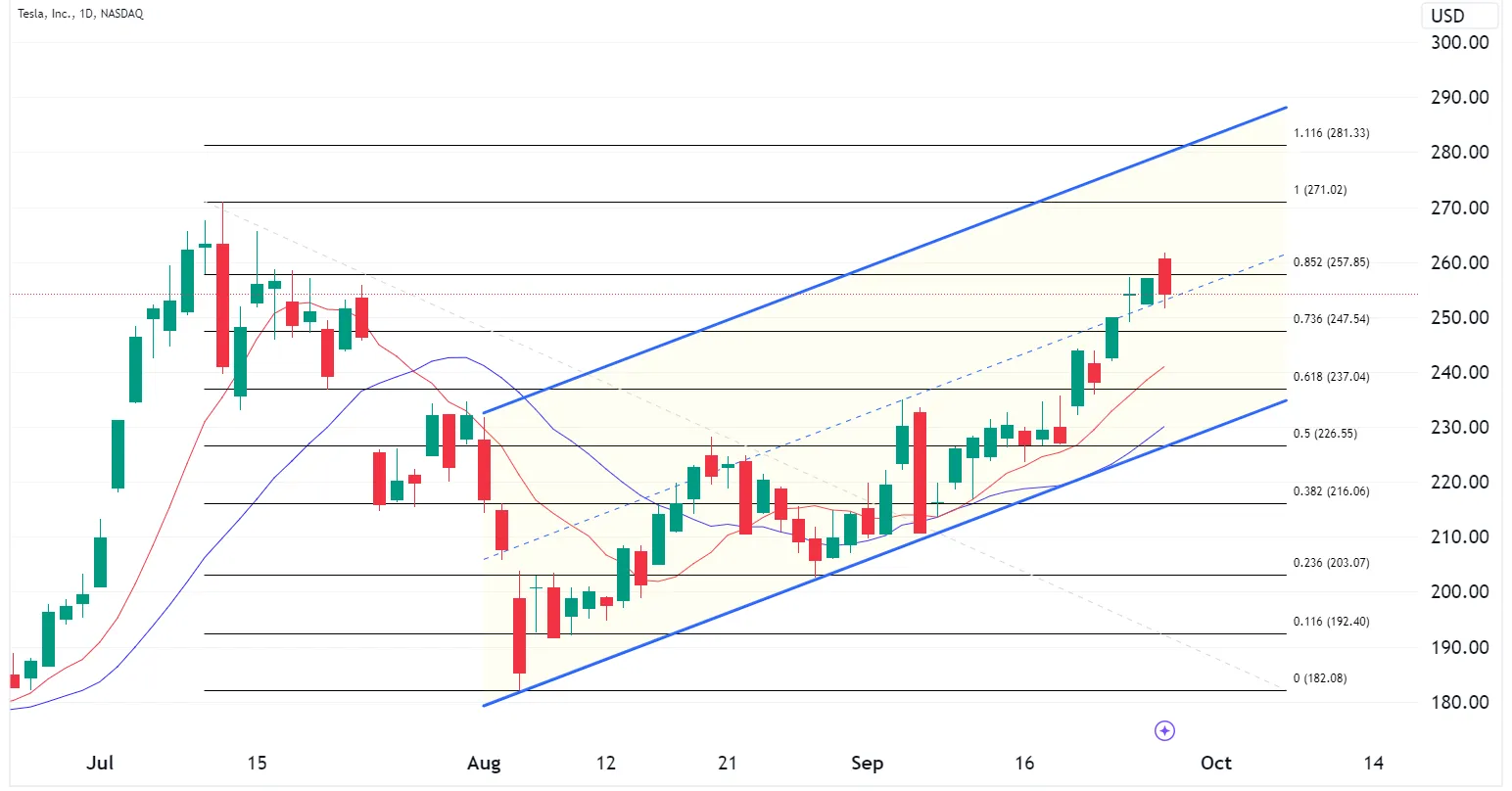 TSLA-–-Daily-Chart